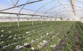 افتتاح ۴۶ طرح عمرانی و اشتغالزای بخش کشاورزی خوزستان در هفته دولت